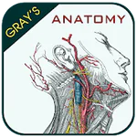 Gray's Anatomy - Anatomy Atlas APK 5.5