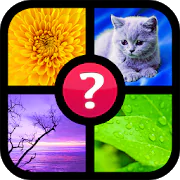 Guess the word ~ 4 pics 1 word