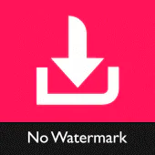 Video Downloader for TikTok - No Watermark TikMate APK 2.3.6
