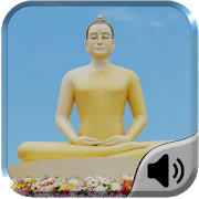 Meditation Sounds -Relax Music  1.0 Latest APK Download