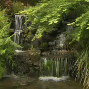 Charming waterfall