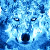Ice Fire Wolf Wallpaper APK 2.10