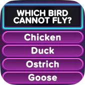 Download TRIVIA STAR - Free Trivia Games Offline App 1.202 APK File for Android