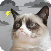Grumpy Cat Weather APK 5.9.5