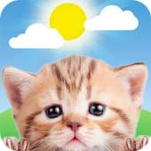Weather Kitty - App & Widget APK 5.9.5