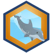 Dolphin Challenge 