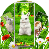 Cute bunny easter wallpapers APK 24.1