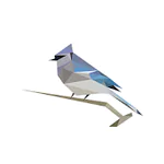 BirdNET: Bird sound identification 1.92 Latest APK Download