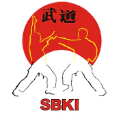 Basic Katas Shotokan free  APK 2.0