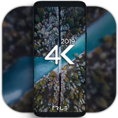 4K Wallpapers - Auto Changer APK 4.2.3
