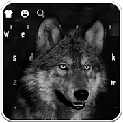 Night Wild Wolf Keyboard Theme 