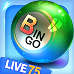Bingo City 75: Bingo & Vegas Slots