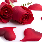 Images of love with roses 1.0.3 Latest APK Download