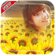 Sunflower Photo Frames