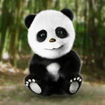 Download Talking Panda APK File for Android