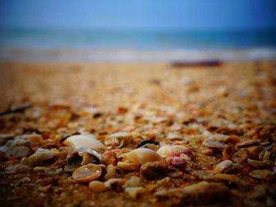 Canon EOS R6 Mark II Specifications