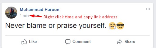 Right click time and copy link address