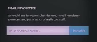 Genesis Newsletter Signup Box