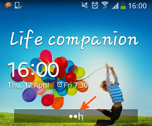 Make Password Field Visible in Galaxy S4