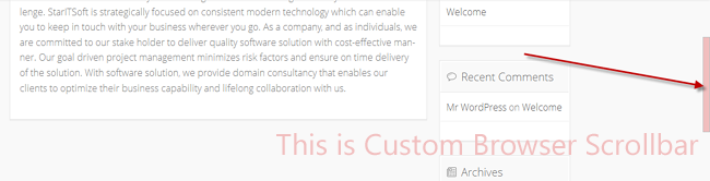What is Custom Browser Scrollbar