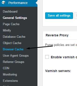 Browser Cache Internal Settings