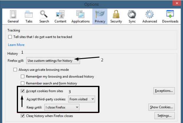Use Custom Settings for History Firfox