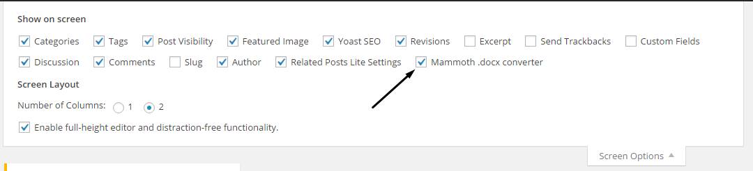 WordPress screen options check Mammoth docx converter