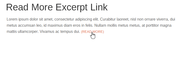How to add excerpt in WordPress