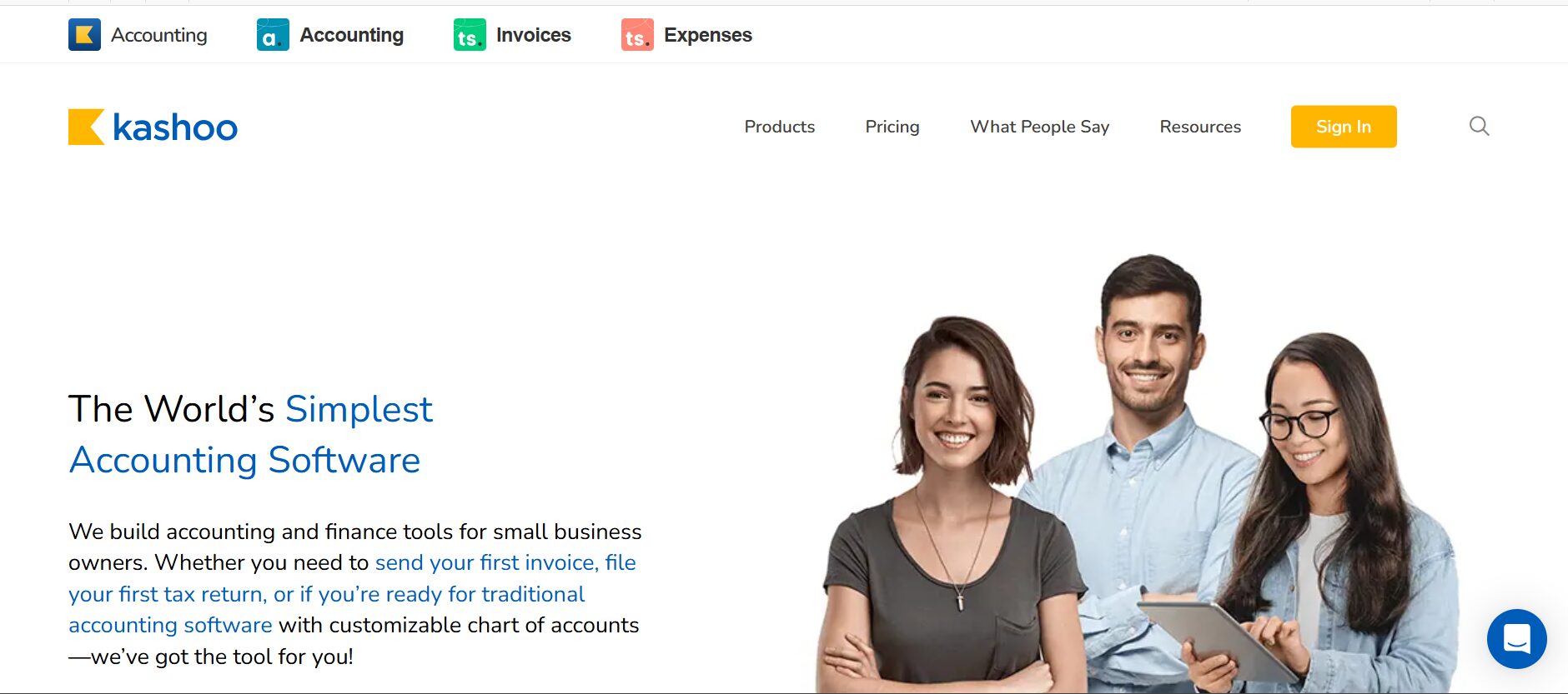 Kashoo best alternative of Wave