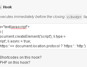 Genesis Simple Hooks wp footer hook