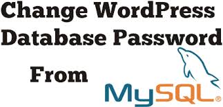 Changing the Database user Password in WordPress