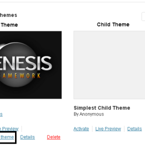 Create a Genesis Child Theme