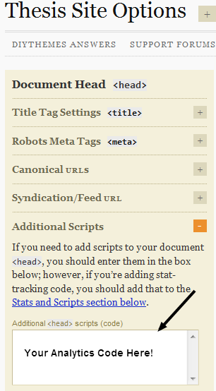 Site Options Additional Scripts in Thesis verifying Google Analytics