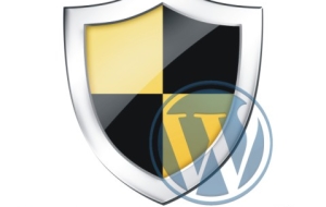 Top 12 WordPress Security Tips