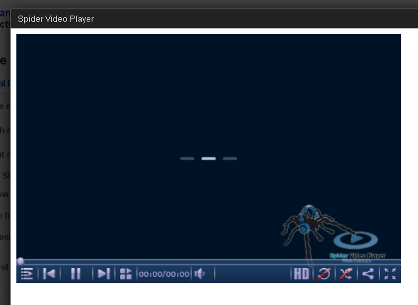 WordPress Spider Video Player