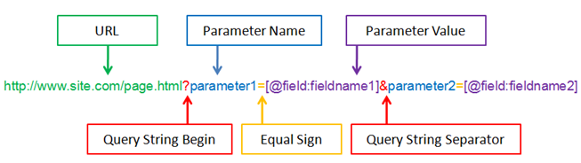 Query Example With Parameters