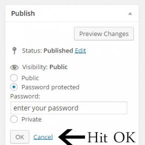 Password Protected Posts in WordPress