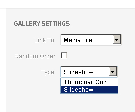 Set the type of Gallery in WordPress copy