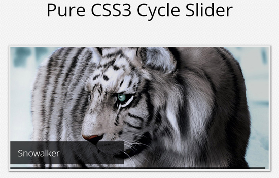 Pure CSS3 Cycle Slider