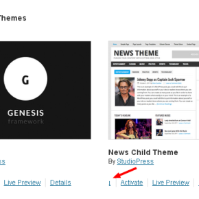Theme Downloader to download installed wp themes as zip file