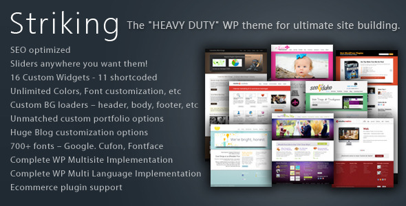 Striking Premium Corporate & Portfolio WP Theme