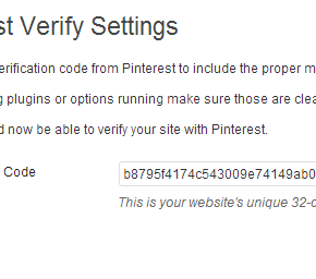 Pinterest Verify WordPress Plugin Settings