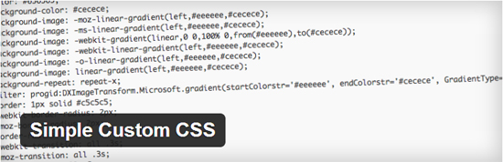 Simple Custom CSS WordPress