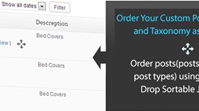Simple Custom Post Order