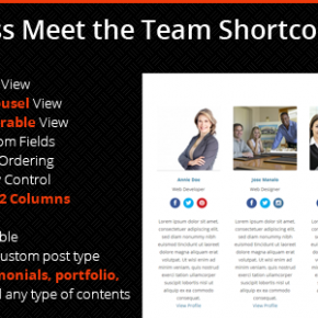 WordPress Meet the Team Shortcode Plugin