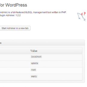 Adminer WordPress Plugin Settings Page