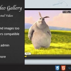 Video Gallery WordPress Plugin w YouTube, Vimeo