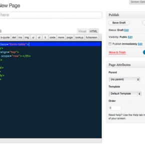 WP Editor Screenshot in page Editor HTML WordPress