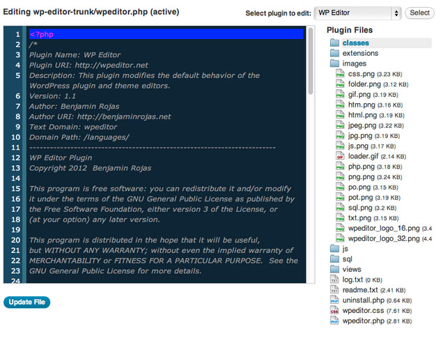 WP Editor Screenshot while editing style css file in WordPress