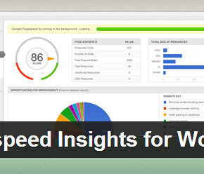 Google Pagespeed Insights for WordPress